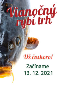 Vianočný rybí trh 2021, predaj rýb, predaj kaprov Žilina a okolie | chovryb.sk