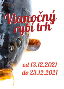 Vianočný rybí trh 2021 Krasňany, predaj vianočných rýb, predaj kaprov Žilina, Terchová, Krasňany